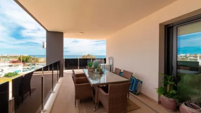 Apartment in La Zenia photo 13