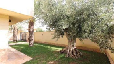 Chalet in Costa Blanca photo 27