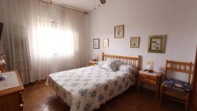 Apartment in La Regia photo 6