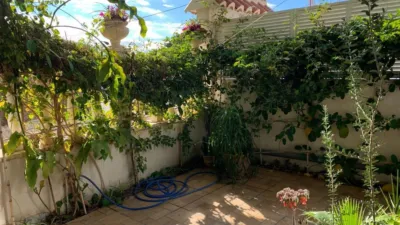 Duplex in La Zenia photo 8