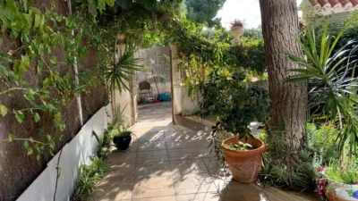 Duplex in La Zenia photo 9