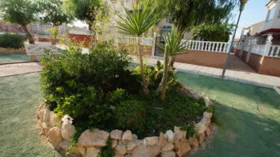 Attic in Playa Flamenca photo 23