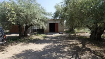 Finca rústica en calle Poligono 7 Parcela 77 photo 23