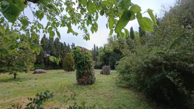 Rustic Finca in Barrio Canapost Perat photo 68