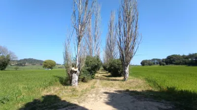 Rustic Finca in Barrio Canapost Perat photo 80