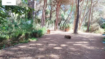 Chalet in Pinares del Júcar photo 13