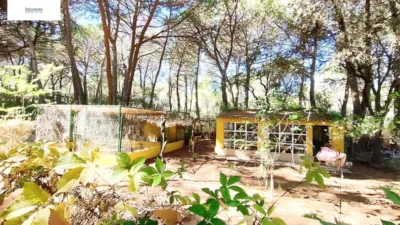 Chalet in Pinares del Júcar photo 22