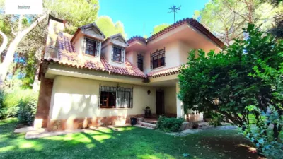Chalet in Pinares del Júcar photo 4