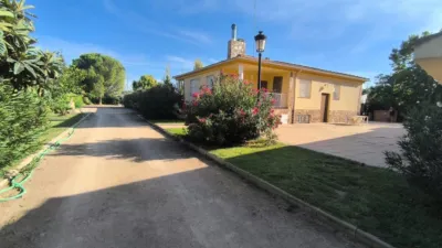 Chalet in Albacete photo 5