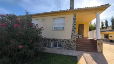 Chalet in Albacete photo 6