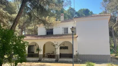 House in Los Llanos photo 2