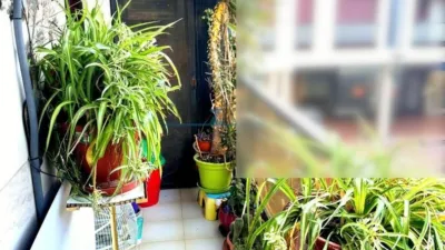 Apartment in the City Centre photo 5