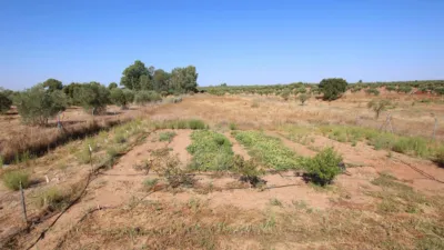 Finca rústica en venta en los Arenales, Montijo de 95.000 €