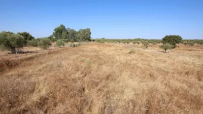 Finca rústica en venta en los Arenales, Montijo de 95.000 €