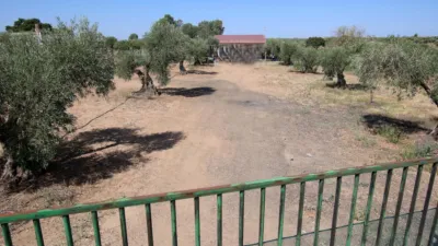 Finca rústica en venta en los Arenales, Montijo de 95.000 €