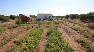 Finca rústica en venta en los Arenales, Montijo de 95.000 €