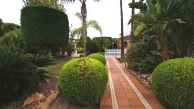 Chalet in Alzabares photo 4