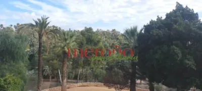 Apartment in Corazon de Jesus photo 6