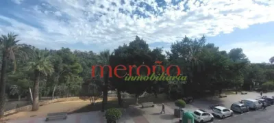 Apartment in Corazon de Jesus photo 8