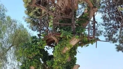 Rustic Finca in Alzabares photo 44