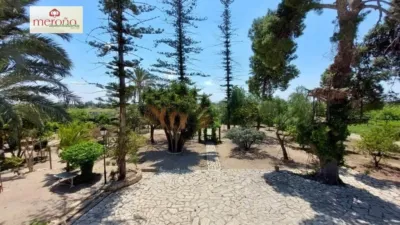 Rustic Finca in Alzabares photo 45
