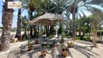Rustic Finca in Alzabares photo 46
