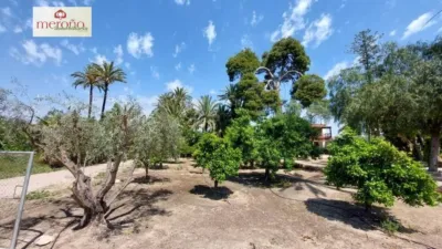 Rustic Finca in Alzabares photo 47