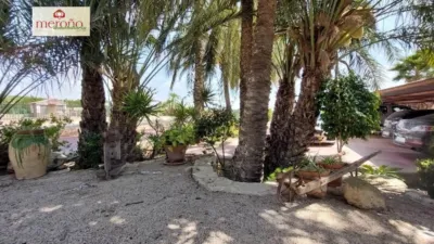 Rustic Finca in Alzabares photo 48