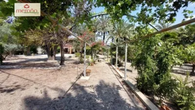 Rustic Finca in Alzabares photo 50