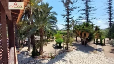 Rustic Finca in Alzabares photo 53