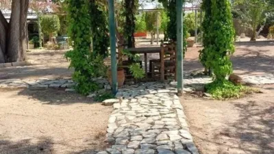 Rustic Finca in Alzabares photo 59