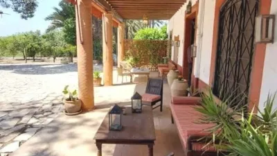 Rustic Finca in Alzabares photo 7
