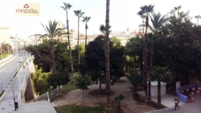 Apartment in Corazon de Jesus photo 10