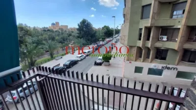 Apartment in Corazon de Jesus photo 26