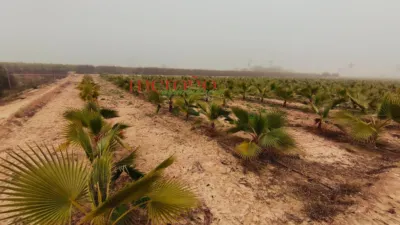 Terreno en venta en Xlas Bayas - Vista 4