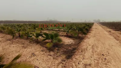 Terreno en venta en Xlas Bayas - Vista 5