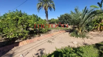 Rustic Finca in La Galia photo 4