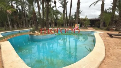 Casa – Elx - Elche - Vista 3