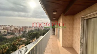 Apartment in Corazon de Jesus photo 43