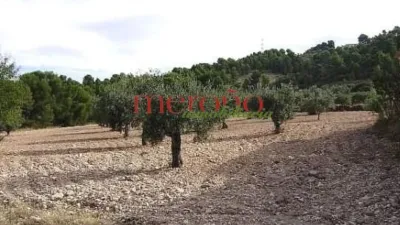 Rustic finca in the Valencian Community photo 7