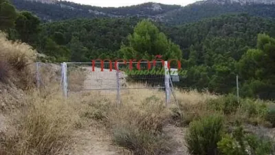 Rustic finca in the Valencian Community photo 8