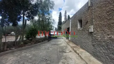Rustic Finca in La Galia-Bonavista photo 10