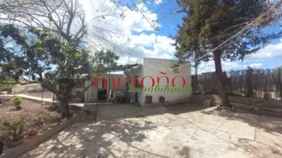 Rustic Finca in La Galia-Bonavista photo 13