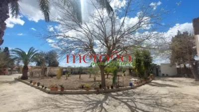 Rustic Finca in La Galia-Bonavista photo 15
