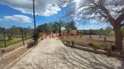Rustic Finca in La Galia-Bonavista photo 17