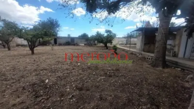 Rustic Finca in La Galia-Bonavista photo 37