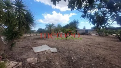 Rustic Finca in La Galia-Bonavista photo 38