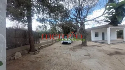 Rustic Finca in La Galia-Bonavista photo 39