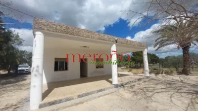 Casa – Elx / Elche, el Baix Vinalopó - Vista 3