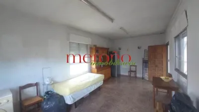 Rustic Finca in La Galia-Bonavista photo 40